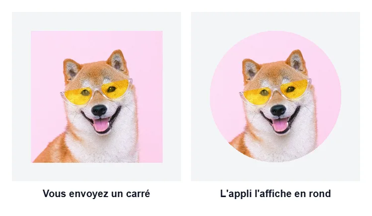 À gauche, le recadrage carré de la tête du chien ; à droite, la même image affichée dans un cercle, comme le font les applis pour la photo de profil