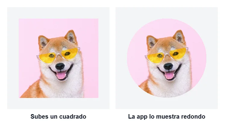 A la izquierda, el recorte cuadrado de la cara del perro; a la derecha, la misma imagen mostrada dentro de un círculo, como hacen las apps con la foto de perfil