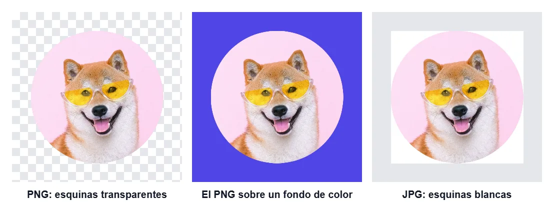 Tres versiones del mismo recorte circular: el PNG sobre un fondo de cuadros que indica transparencia, el mismo PNG sobre un fondo morado y la versión JPG con las esquinas blancas