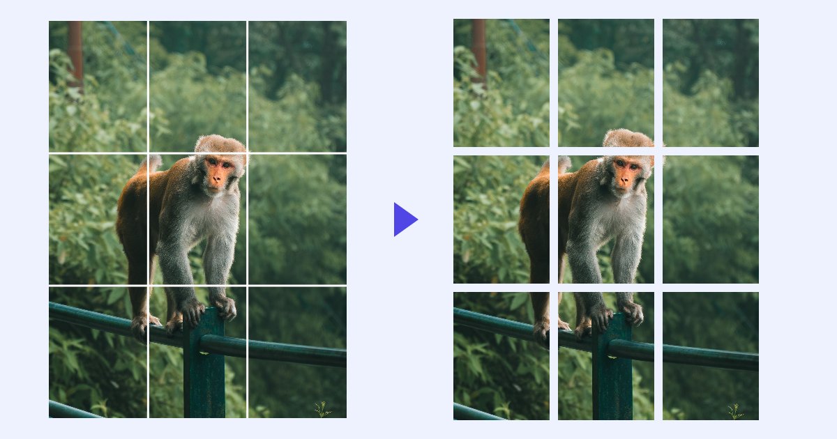 A photo of a monkey with a 3 by 3 grid drawn on it, next to the nine pieces it was cut into