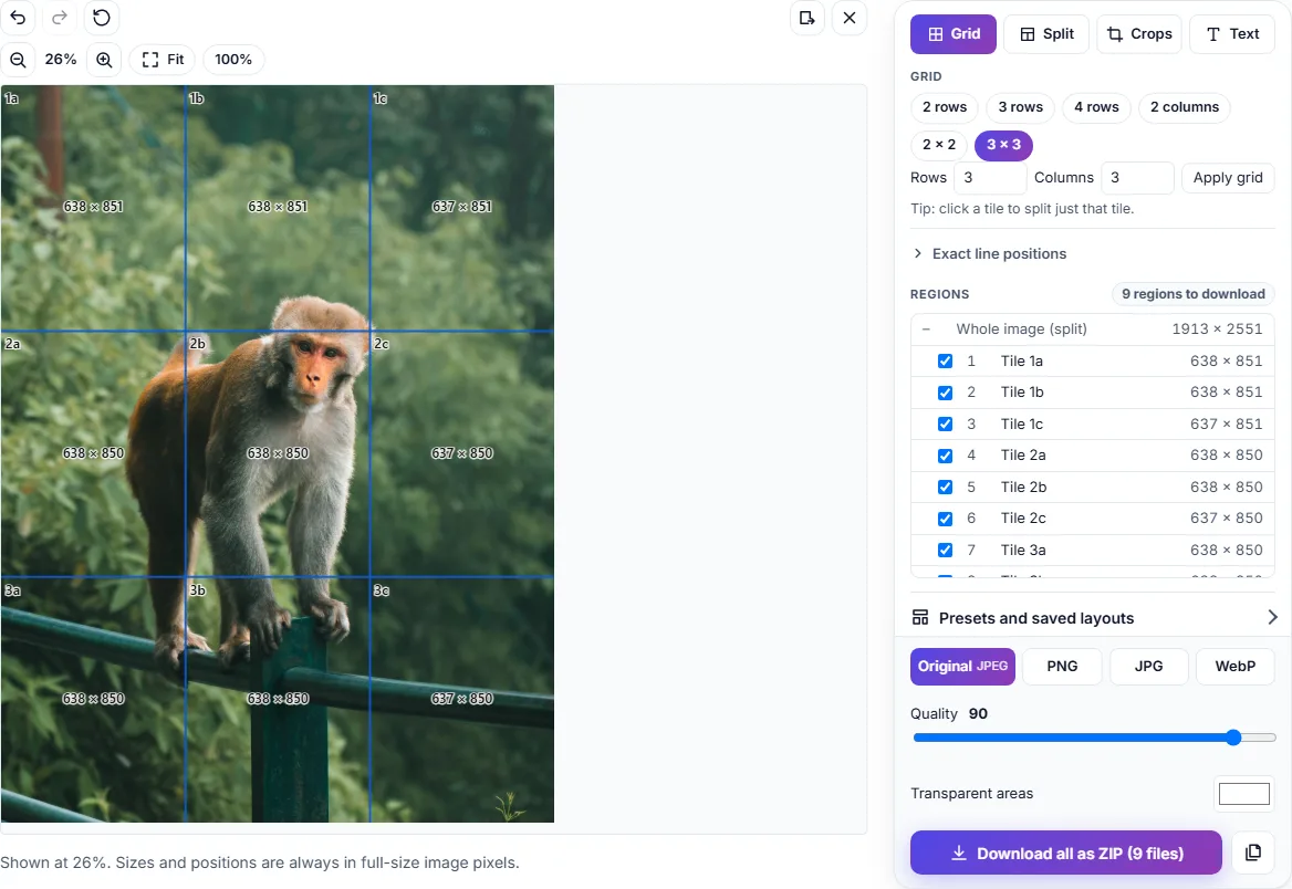 The image splitter with a photo of a monkey split into a 3 by 3 grid; each piece shows its size, and the Regions list shows 638 × 851, 638 × 851, 637 × 851 and so on