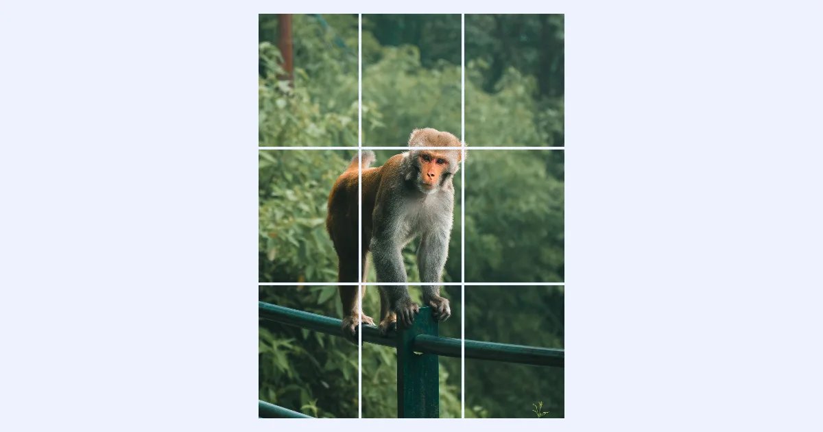 A photo of a monkey cut into nine tall tiles in three rows, with thin gaps like a profile grid