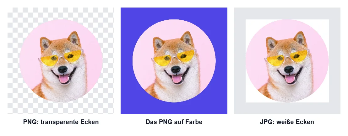 Drei Versionen desselben runden Zuschnitts: das PNG auf einem Schachbrettmuster, das Transparenz anzeigt, dasselbe PNG auf violettem Hintergrund und die JPG-Version mit weißen Ecken