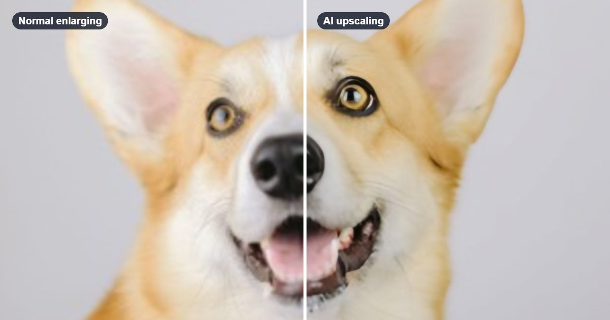 A close-up of a dog's face, blurry on the left where it was enlarged normally and sharper on the right where it was upscaled with AI