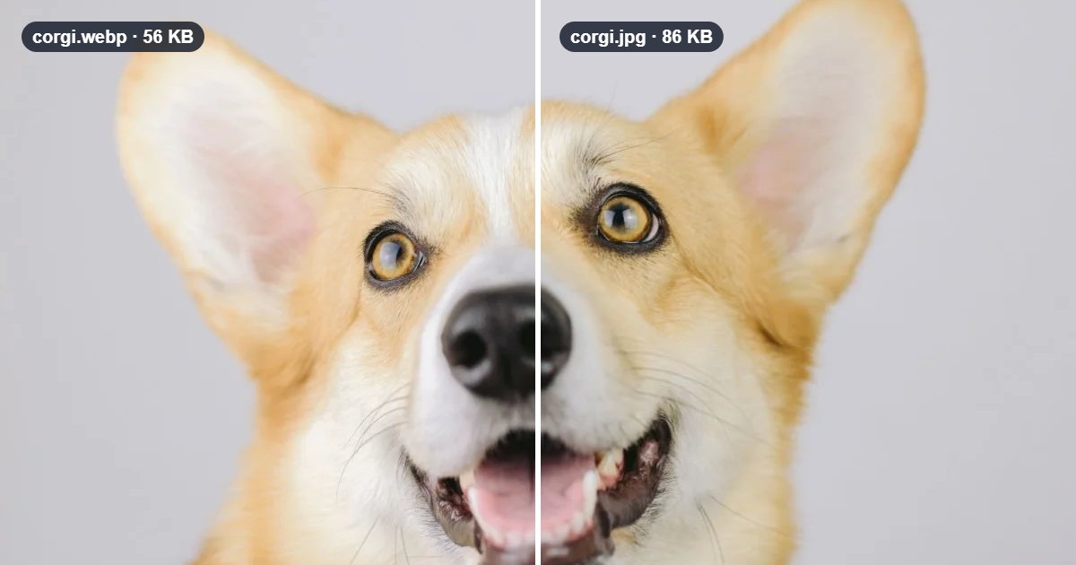 A close-up of a dog split down the middle, the left half labelled corgi.webp 56 KB and the right half corgi.jpg 86 KB, looking the same