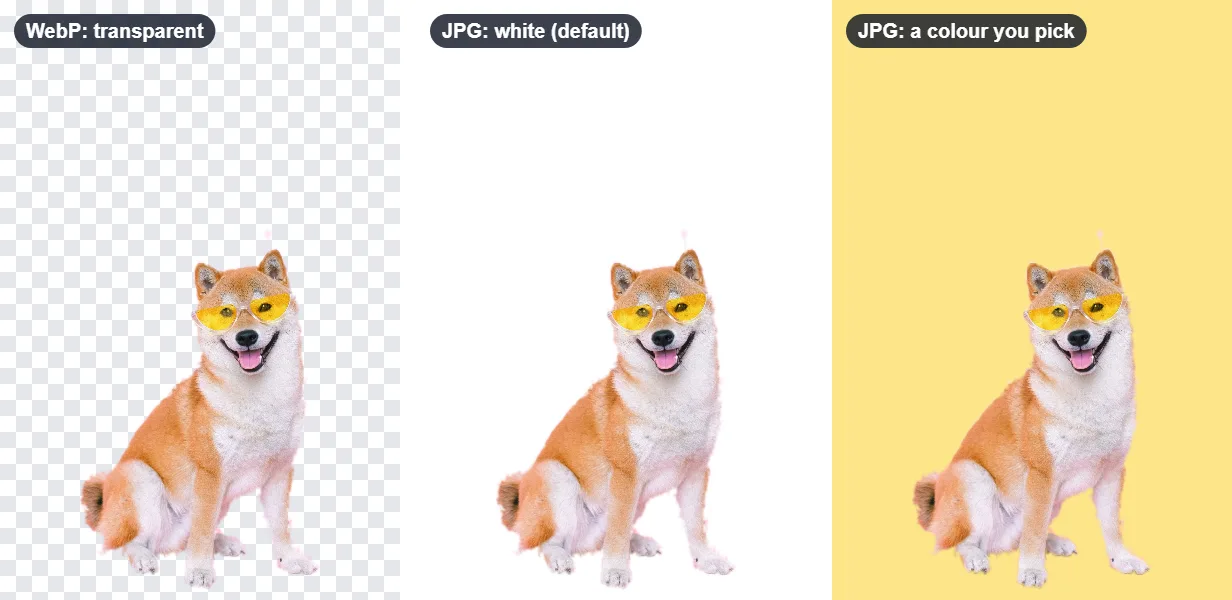 A cut-out dog on a transparent background as WebP, then converted to JPG on white, and to JPG on a light yellow background